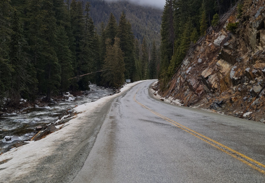 Roadtrip Reading Week